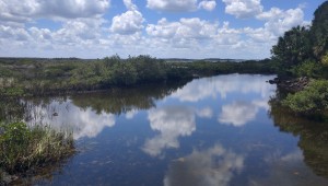Chassahowitzka Wildlife Management Area